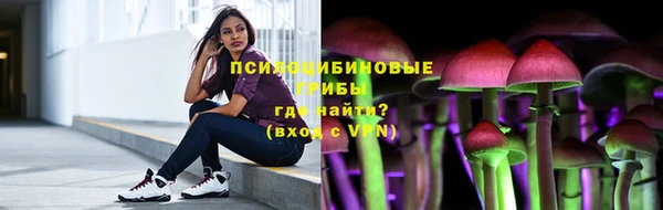 тгк Нефтекумск