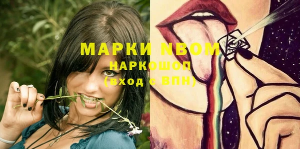 молекула духа Михайлов