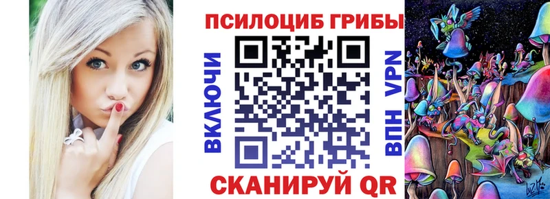 ОМГ ОМГ   Абакан  Псилоцибиновые грибы ЛСД 