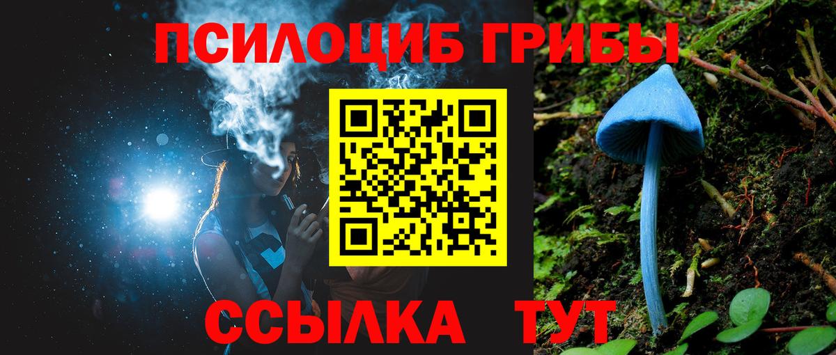 наркошоп  Абакан  Галлюциногенные грибы мицелий 