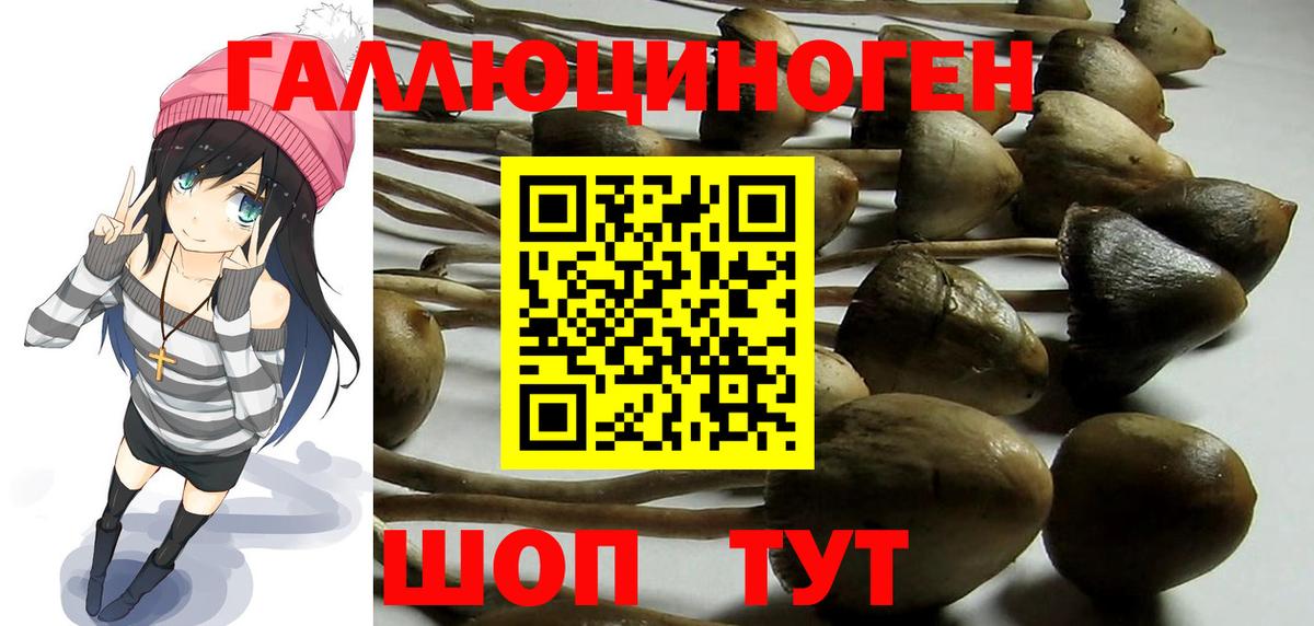 Абакан  где купить наркоту  Вход с VPN  Псилоцибиновые грибы MAGIC MUSHROOMS 
