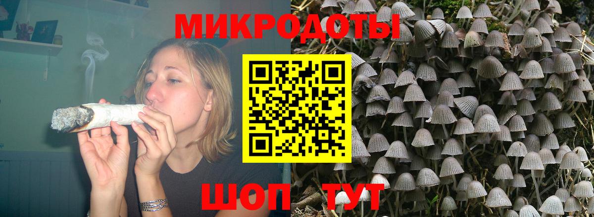 Псилоцибиновые грибы прущие грибы Абакан